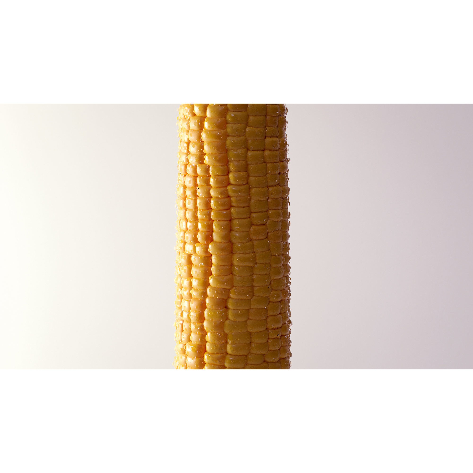 Photorealistic Corn - Game-Ready 3D Model - View 9