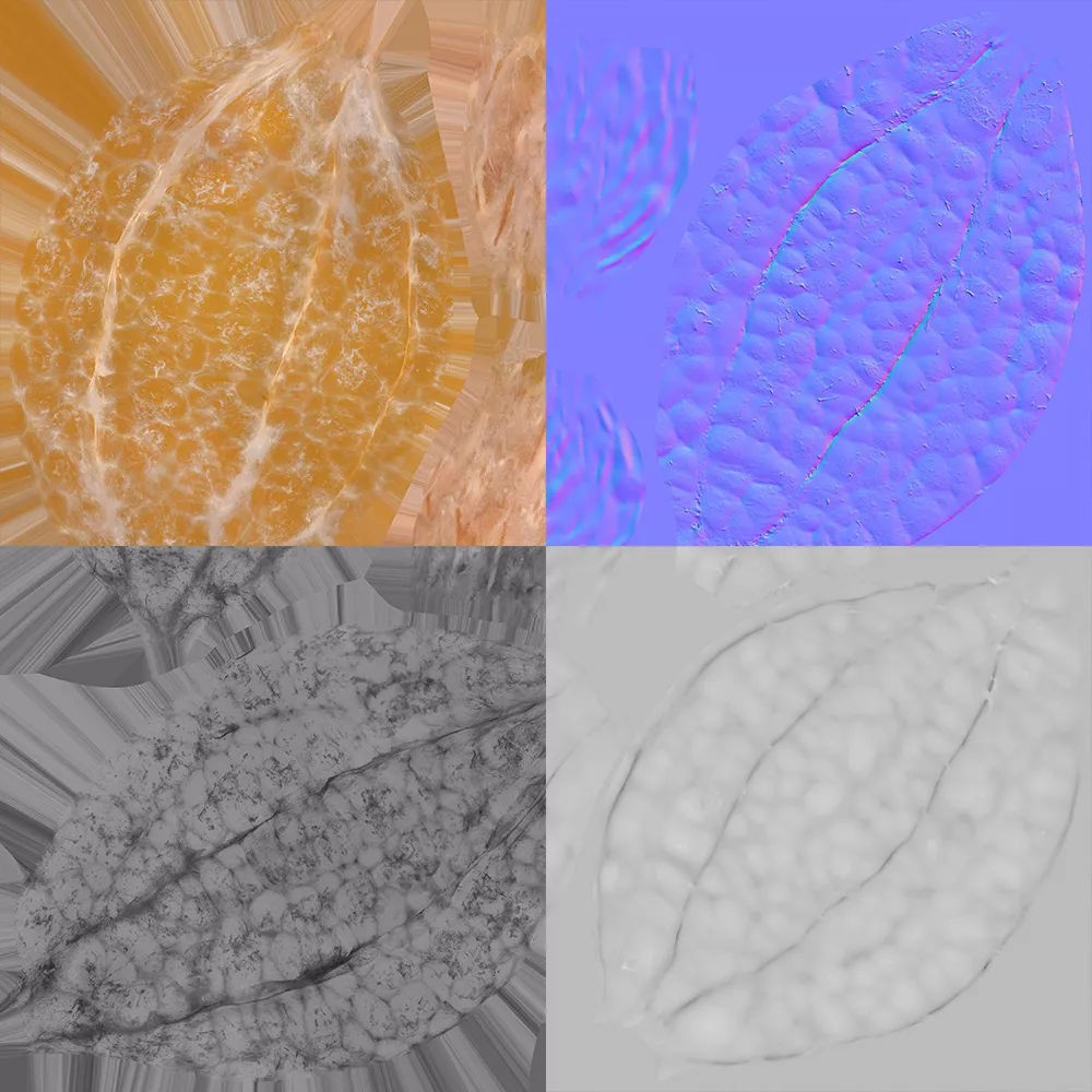 Tangelo - Photorealistic 3D Model - View 10