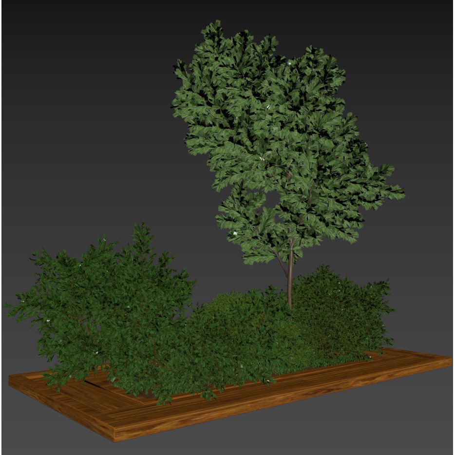 Garden Bush and Tree 3D Model – High Poly PBR Vegetation Asset, FBX