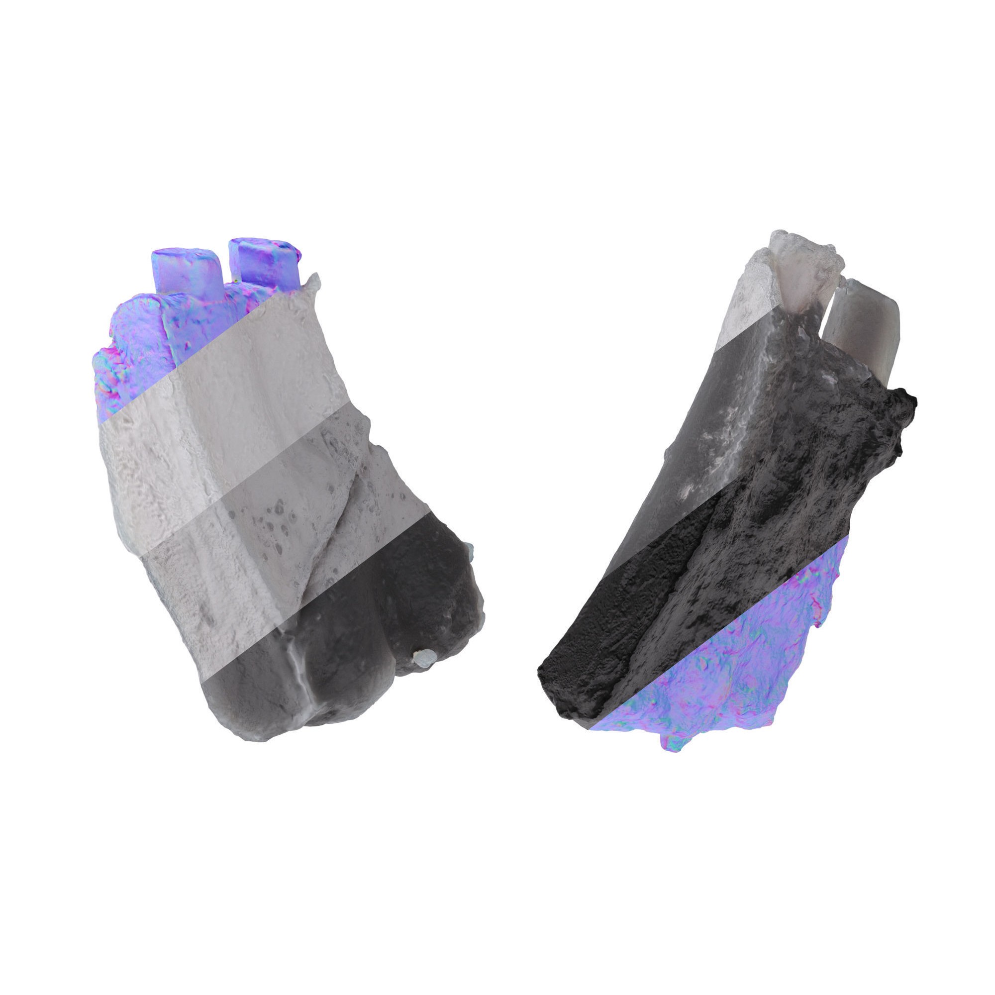 Grilled Ribs - High-Poly Photogrammetry 3D Model