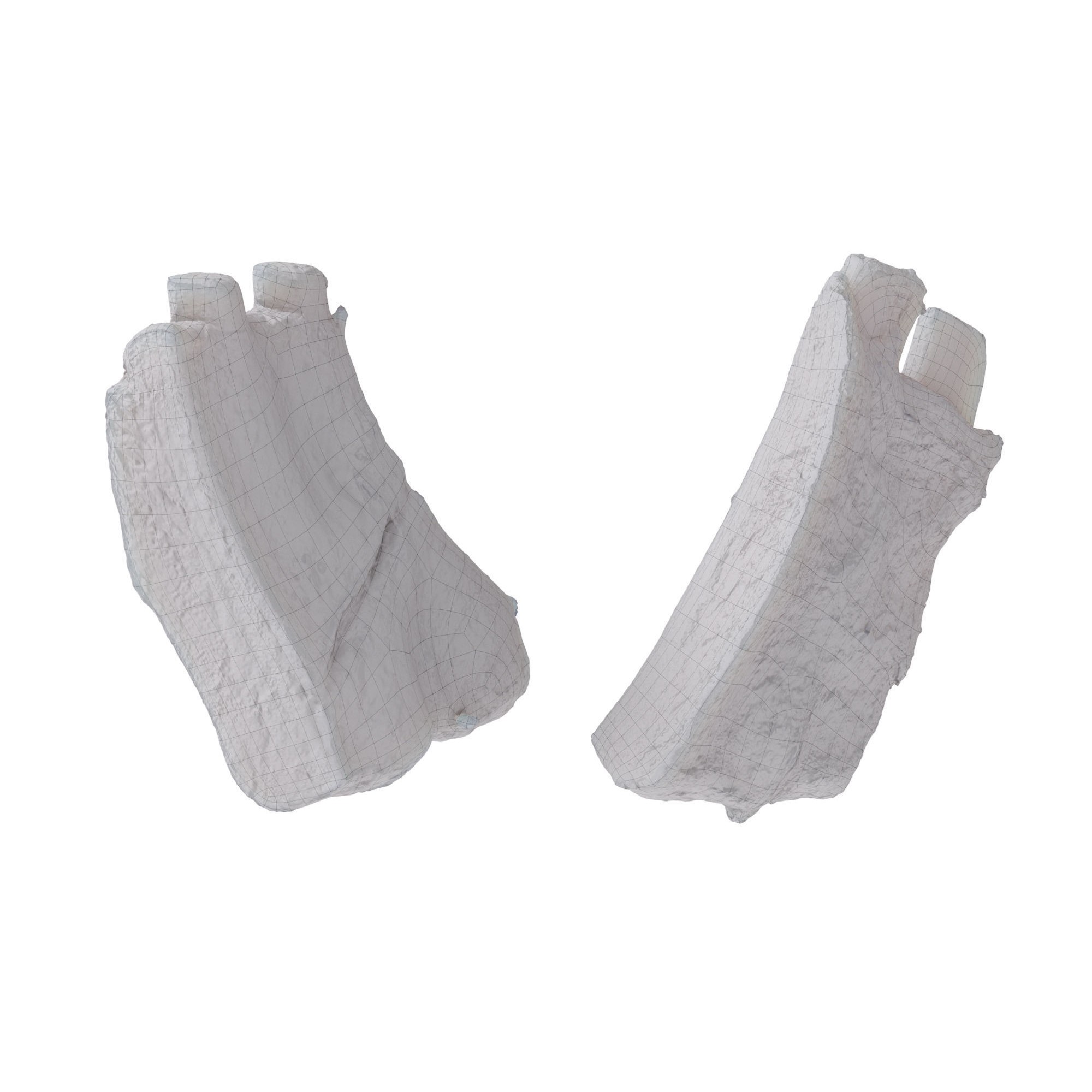 Grilled Ribs - High-Poly Photogrammetry 3D Model - View 13