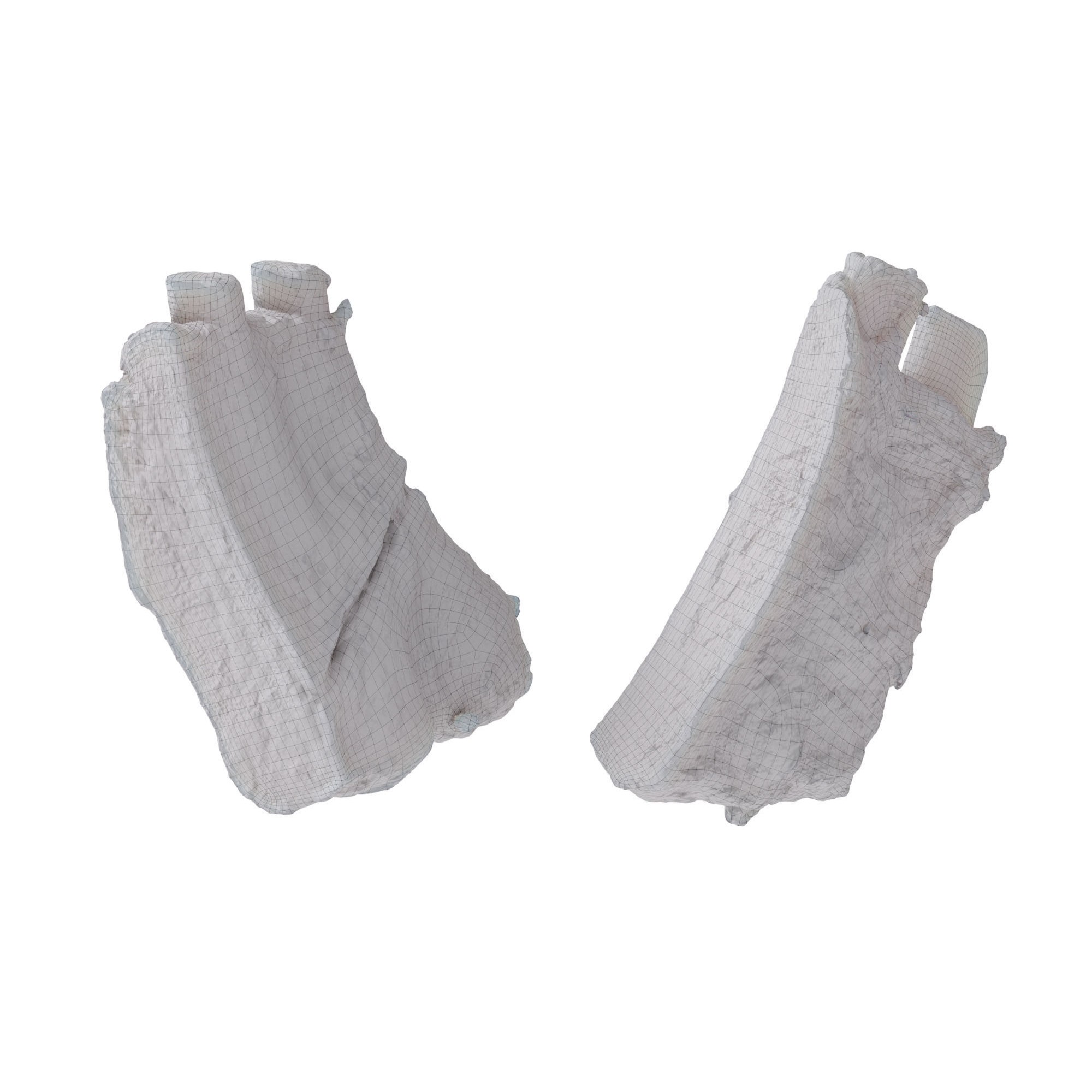 Grilled Ribs - High-Poly Photogrammetry 3D Model - View 14