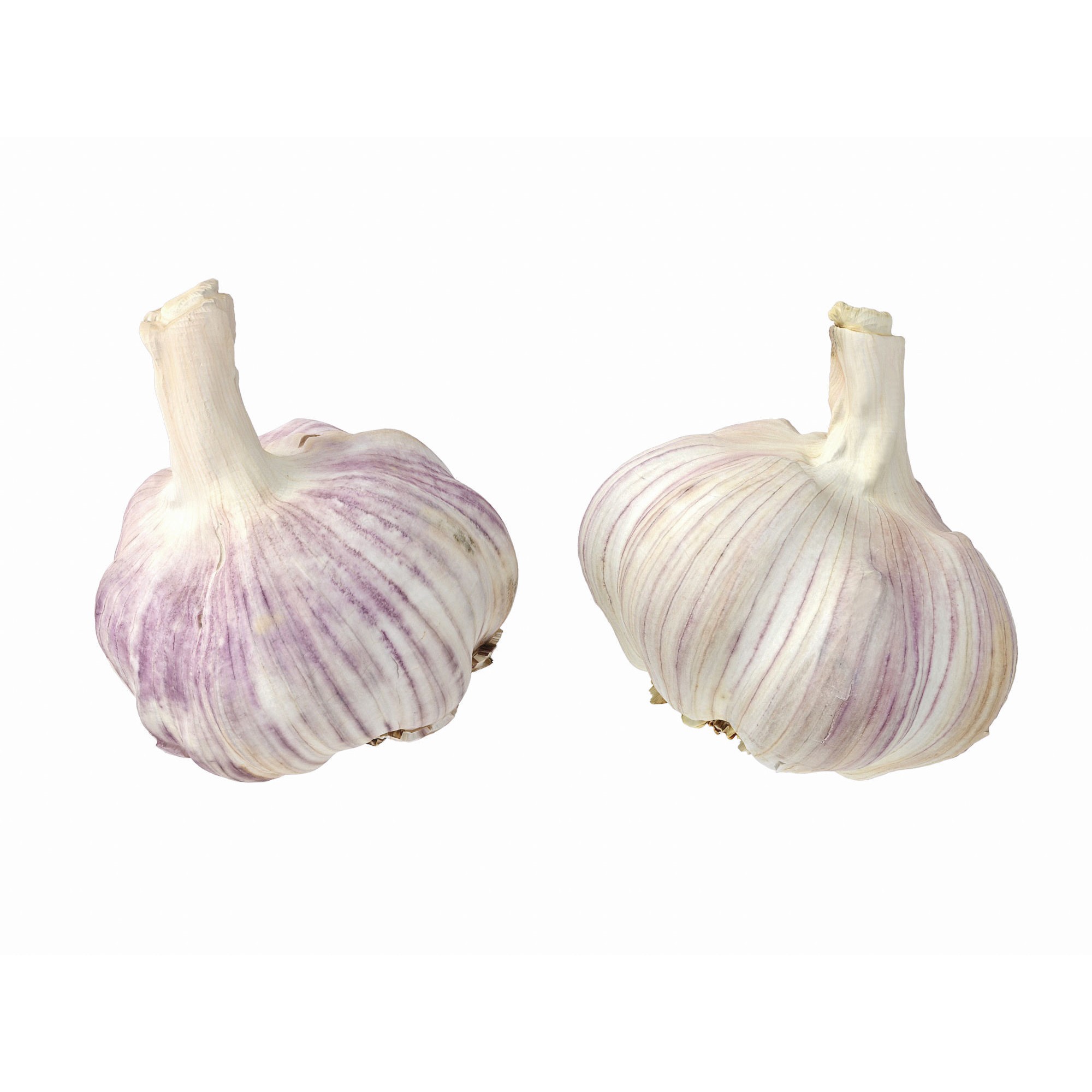 Garlic - Low-Poly Game-Ready 3D Model - View 10