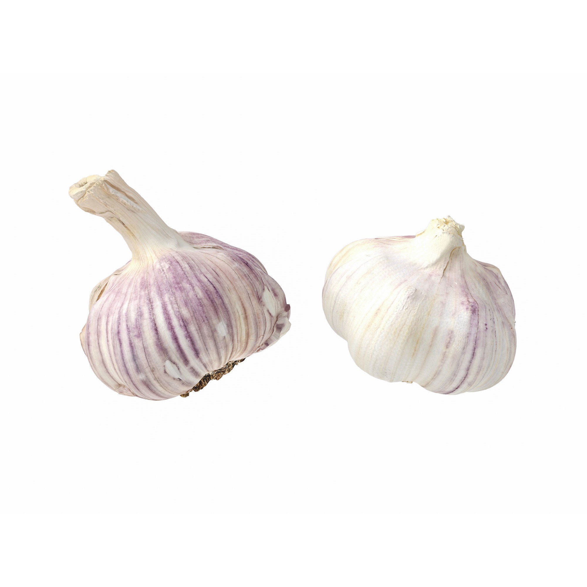 Garlic - Low-Poly Game-Ready 3D Model - View 11
