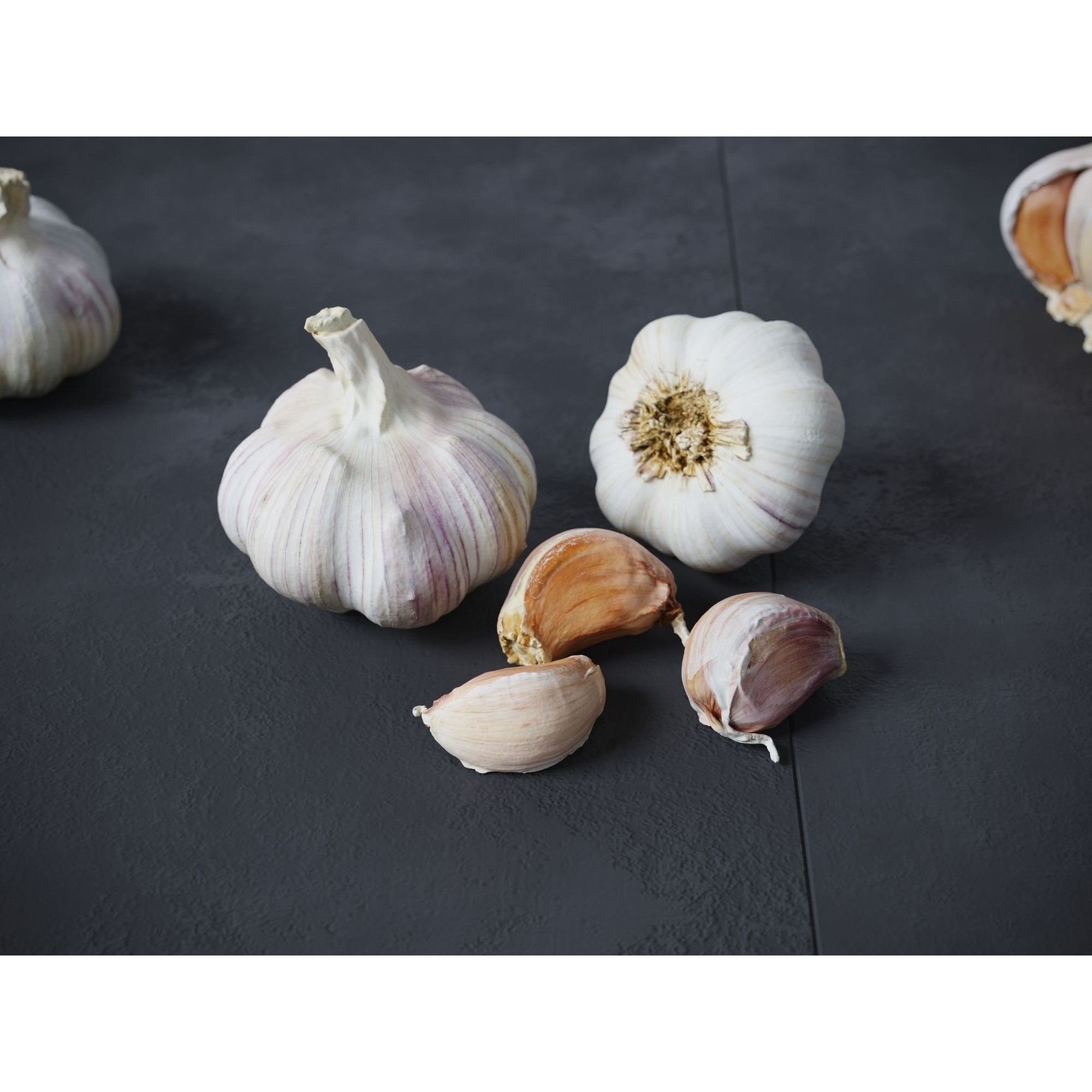 Garlic - Low-Poly Game-Ready 3D Model - View 3