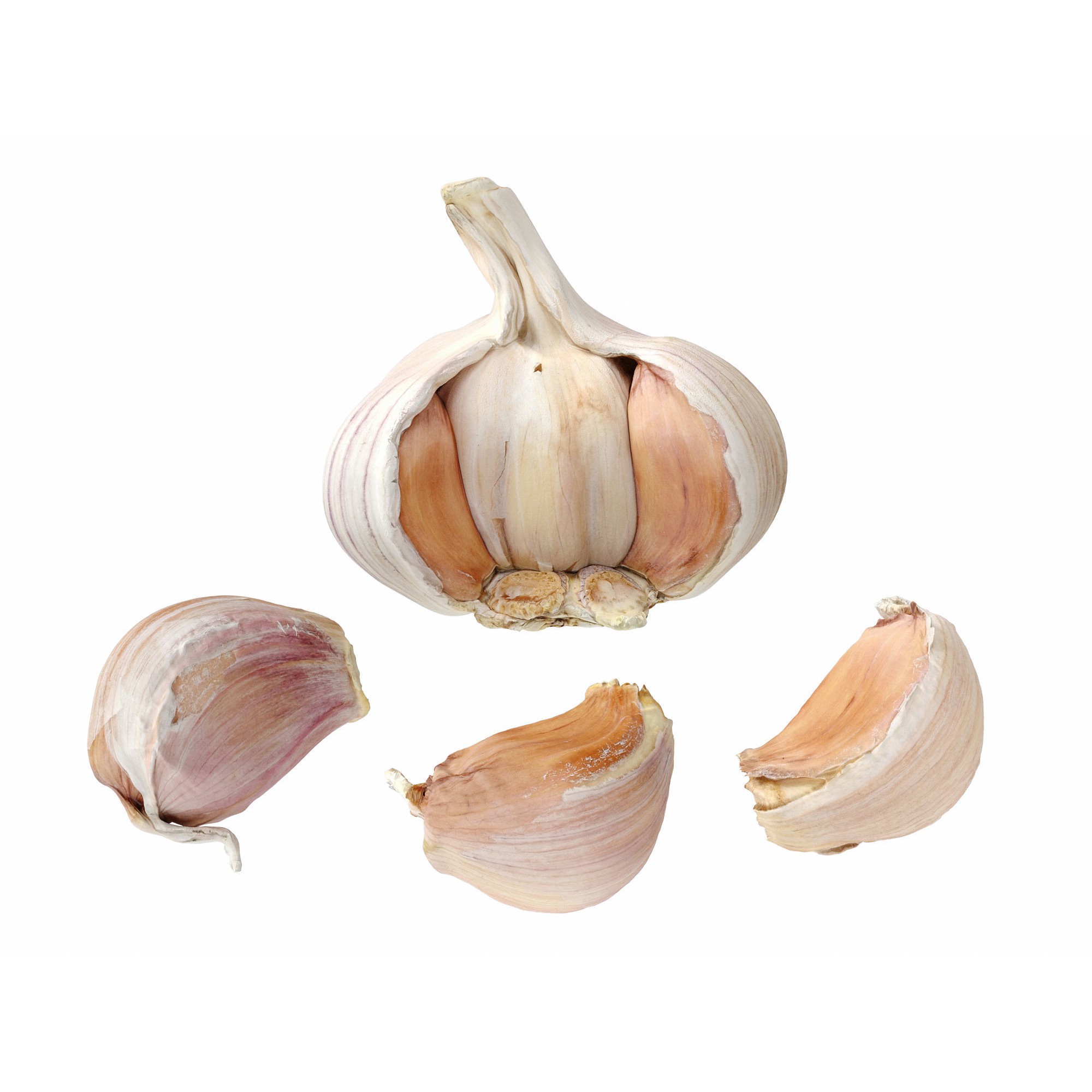 Garlic - Low-Poly Game-Ready 3D Model - View 8