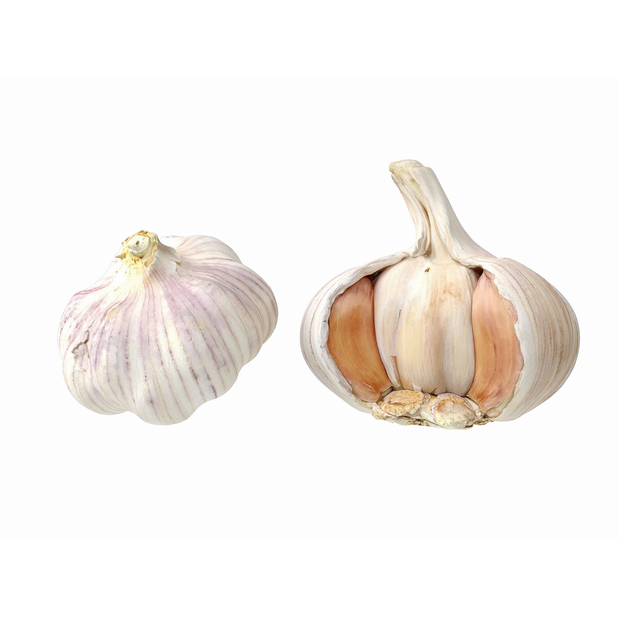 Garlic - Low-Poly Game-Ready 3D Model - View 9