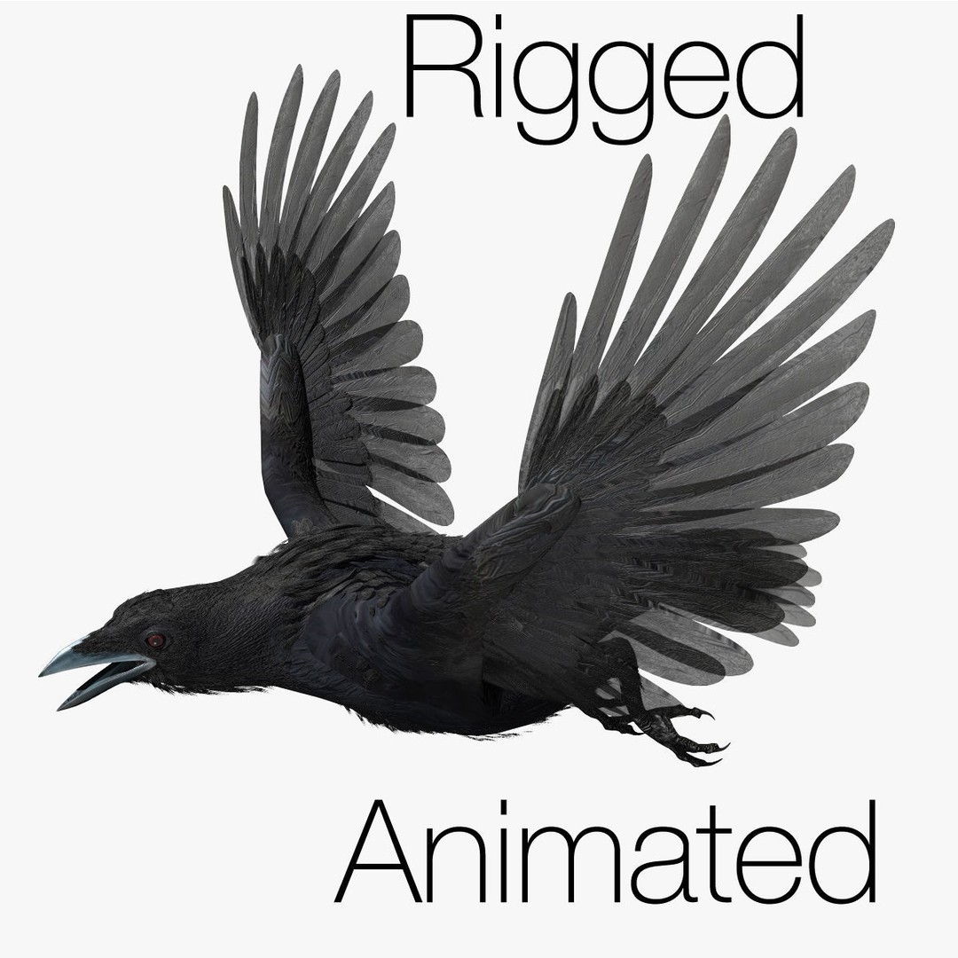 Crow 3D Model – Rigged Animated Bird with PBR Textures, FBX