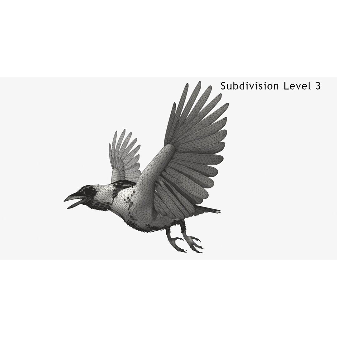 Crow 3D Model – Rigged Animated Bird with PBR Textures, FBX - View 11