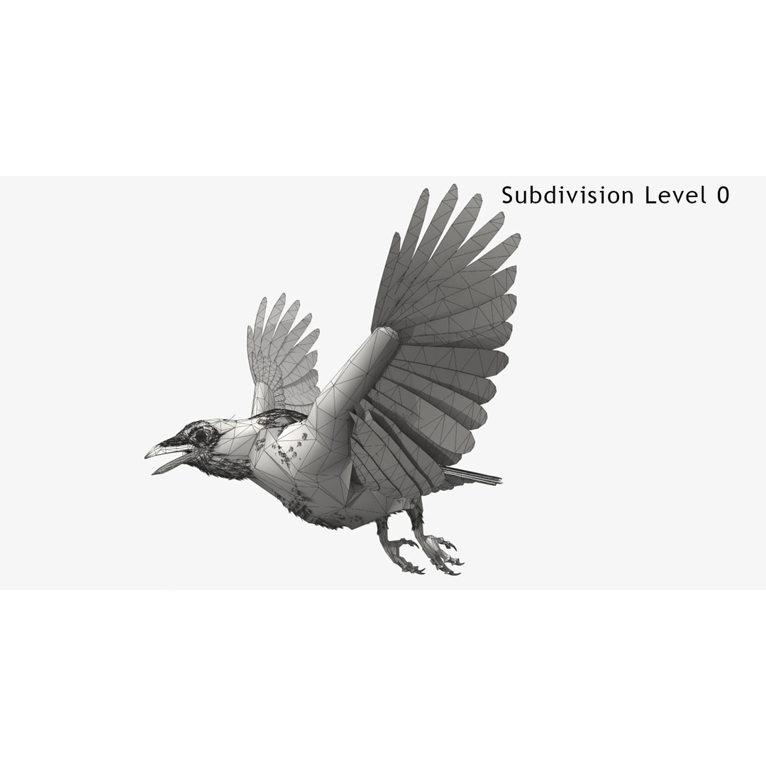 Crow 3D Model – Rigged Animated Bird with PBR Textures, FBX - View 12