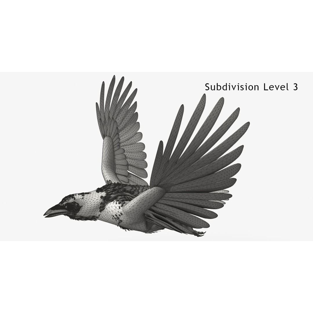 Crow 3D Model – Rigged Animated Bird with PBR Textures, FBX - View 14