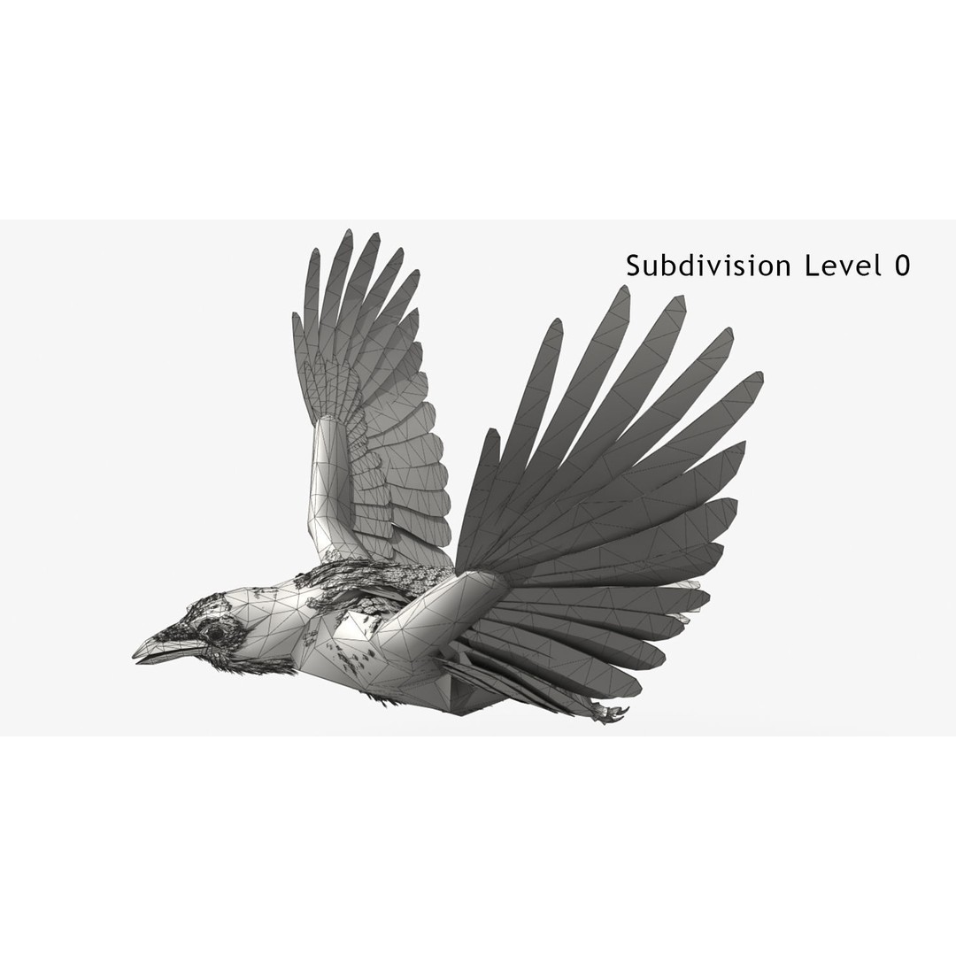 Crow 3D Model – Rigged Animated Bird with PBR Textures, FBX - View 15