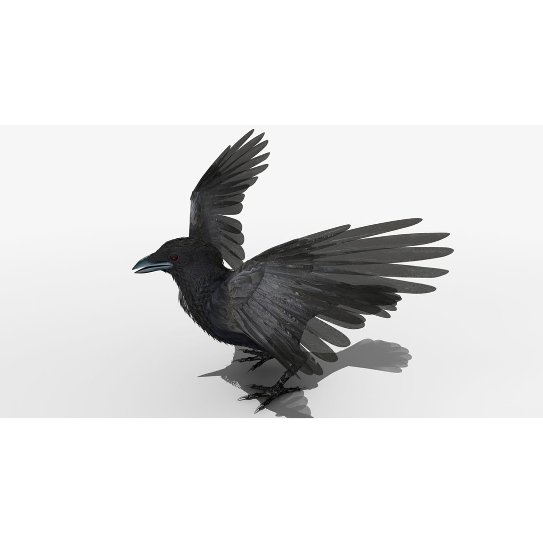 Crow 3D Model – Rigged Animated Bird with PBR Textures, FBX - View 21