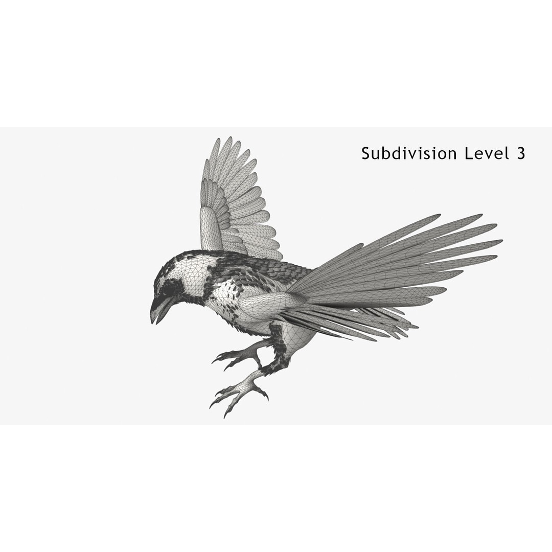 Crow 3D Model – Rigged Animated Bird with PBR Textures, FBX - View 5