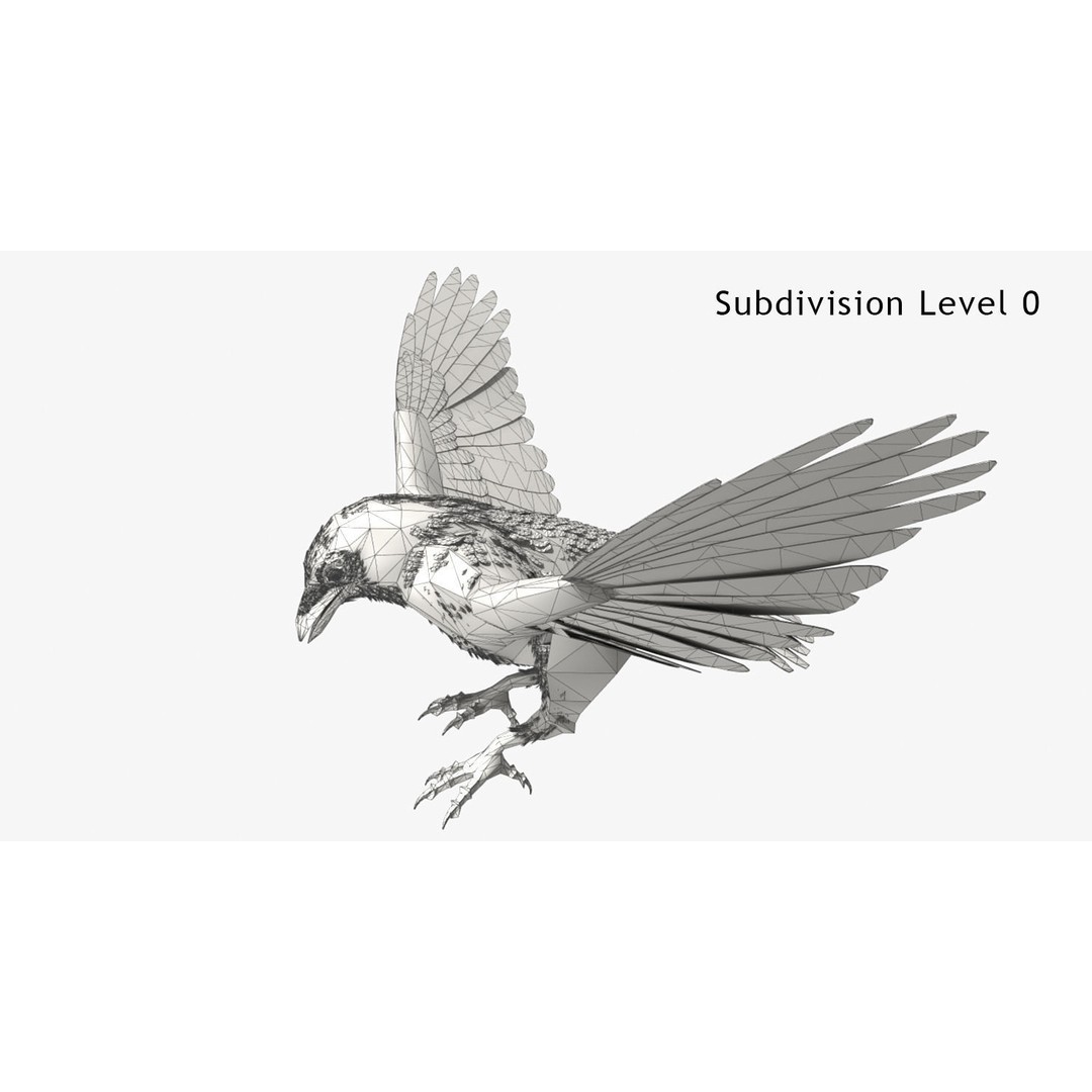 Crow 3D Model – Rigged Animated Bird with PBR Textures, FBX - View 6