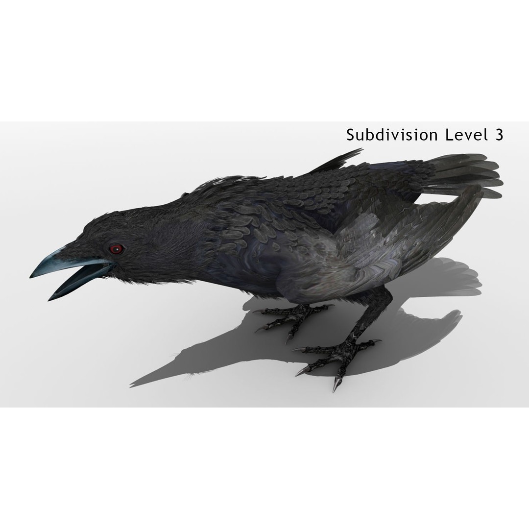 Crow 3D Model – Rigged Animated Bird with PBR Textures, FBX - View 7