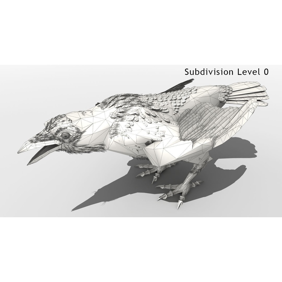Crow 3D Model – Rigged Animated Bird with PBR Textures, FBX - View 9