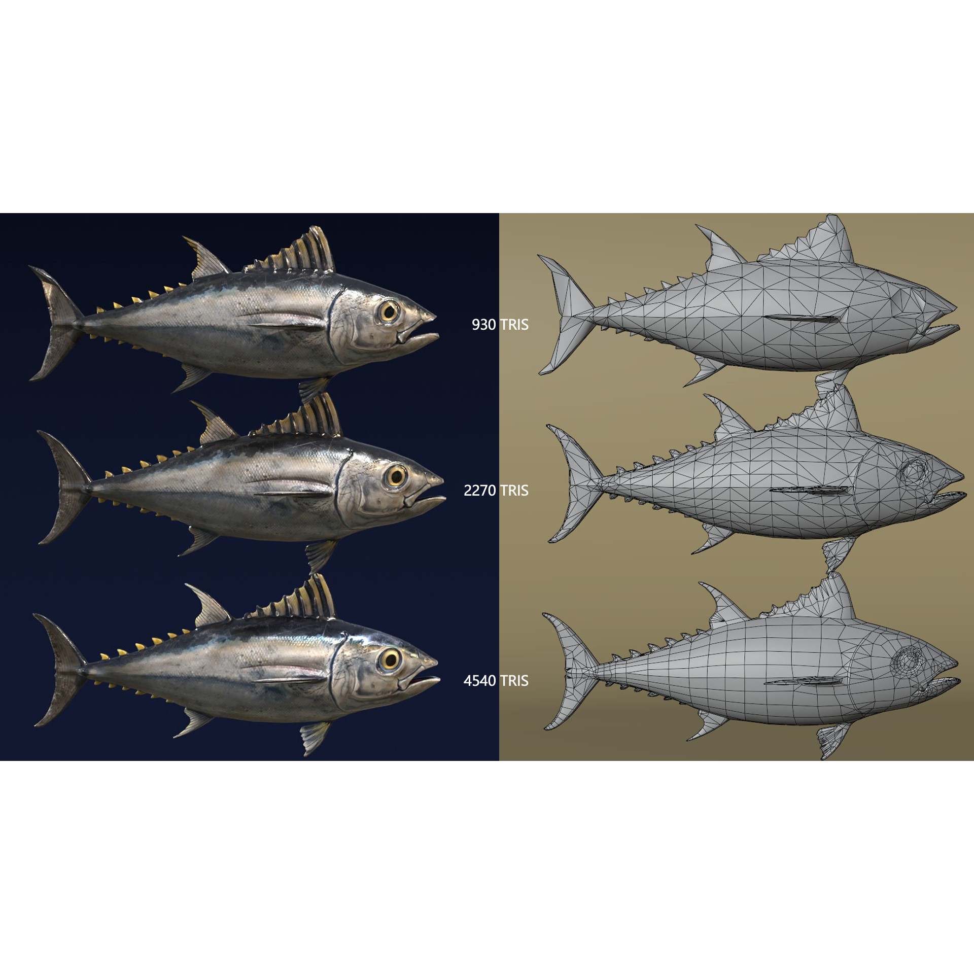 Butchered Fish Megaset - Low-Poly Game-Ready 3D Model - View 12