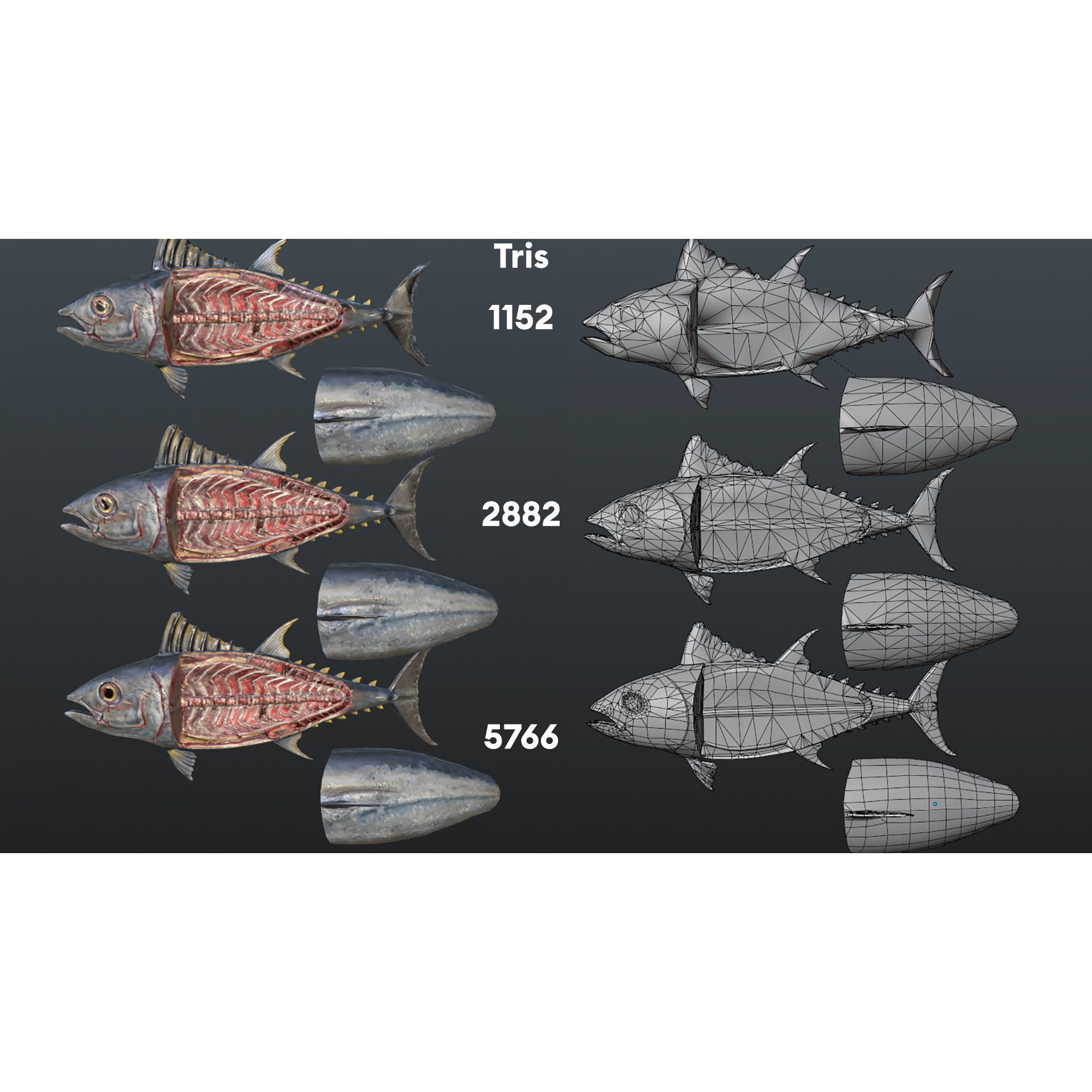 Butchered Fish Megaset - Low-Poly Game-Ready 3D Model - View 13