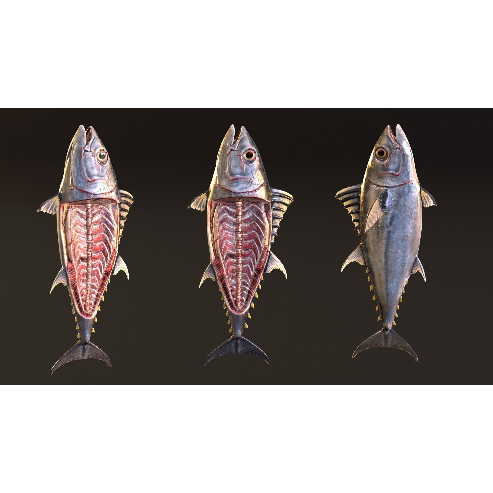 Butchered Fish Megaset - Low-Poly Game-Ready 3D Model - View 18