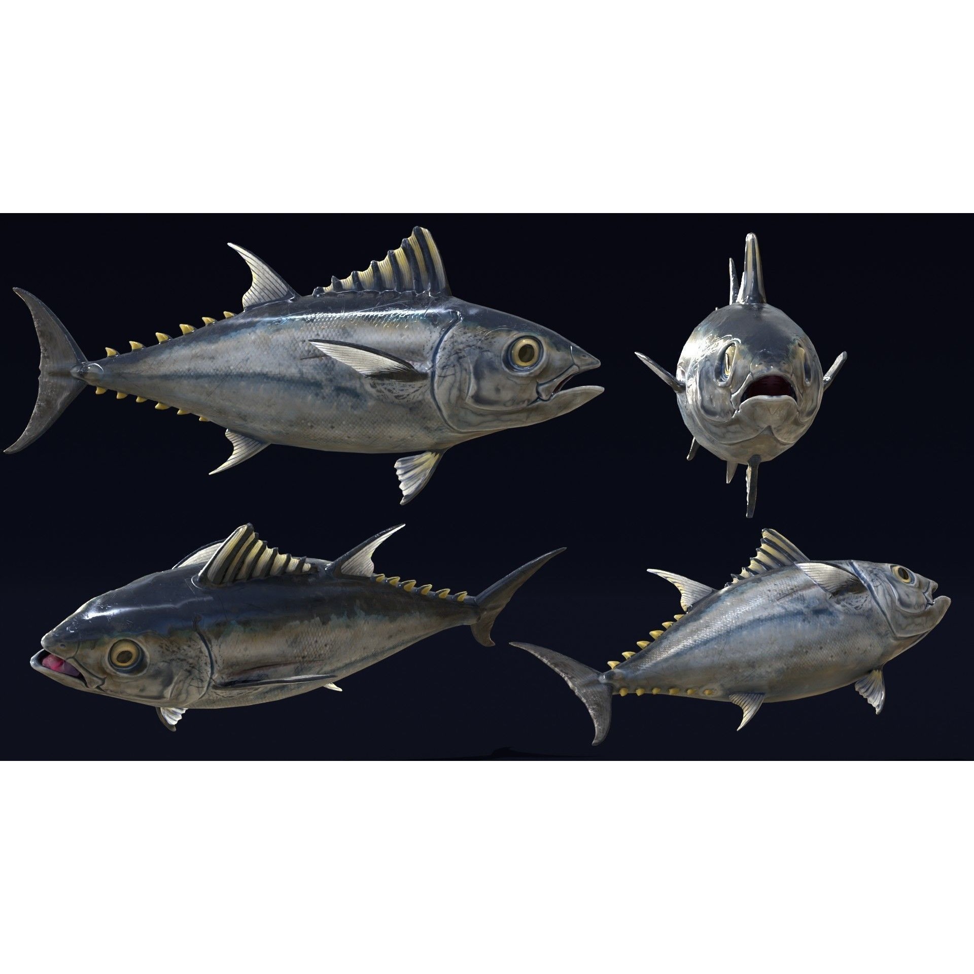 Butchered Fish Megaset - Low-Poly Game-Ready 3D Model - View 30