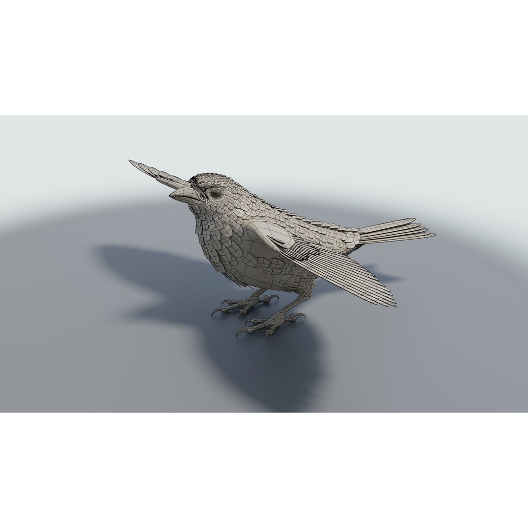 Goldfinch 3D Model – Low Poly Animated Bird, FBX, Blender - View 15