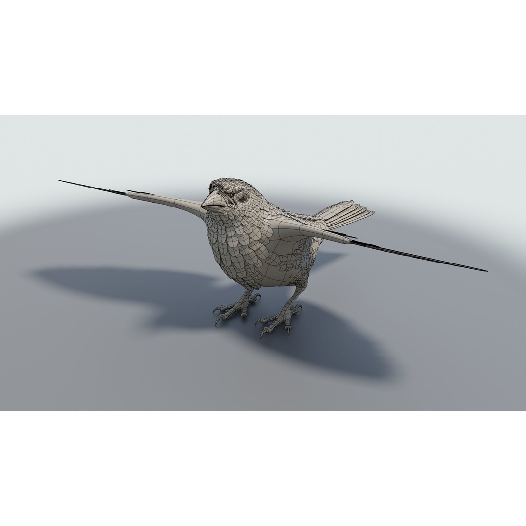 Goldfinch 3D Model – Low Poly Animated Bird, FBX, Blender - View 17