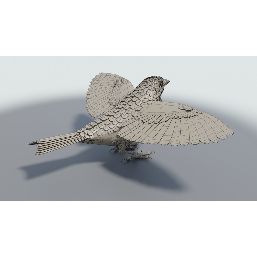 Goldfinch 3D Model – Low Poly Animated Bird, FBX, Blender - View 21