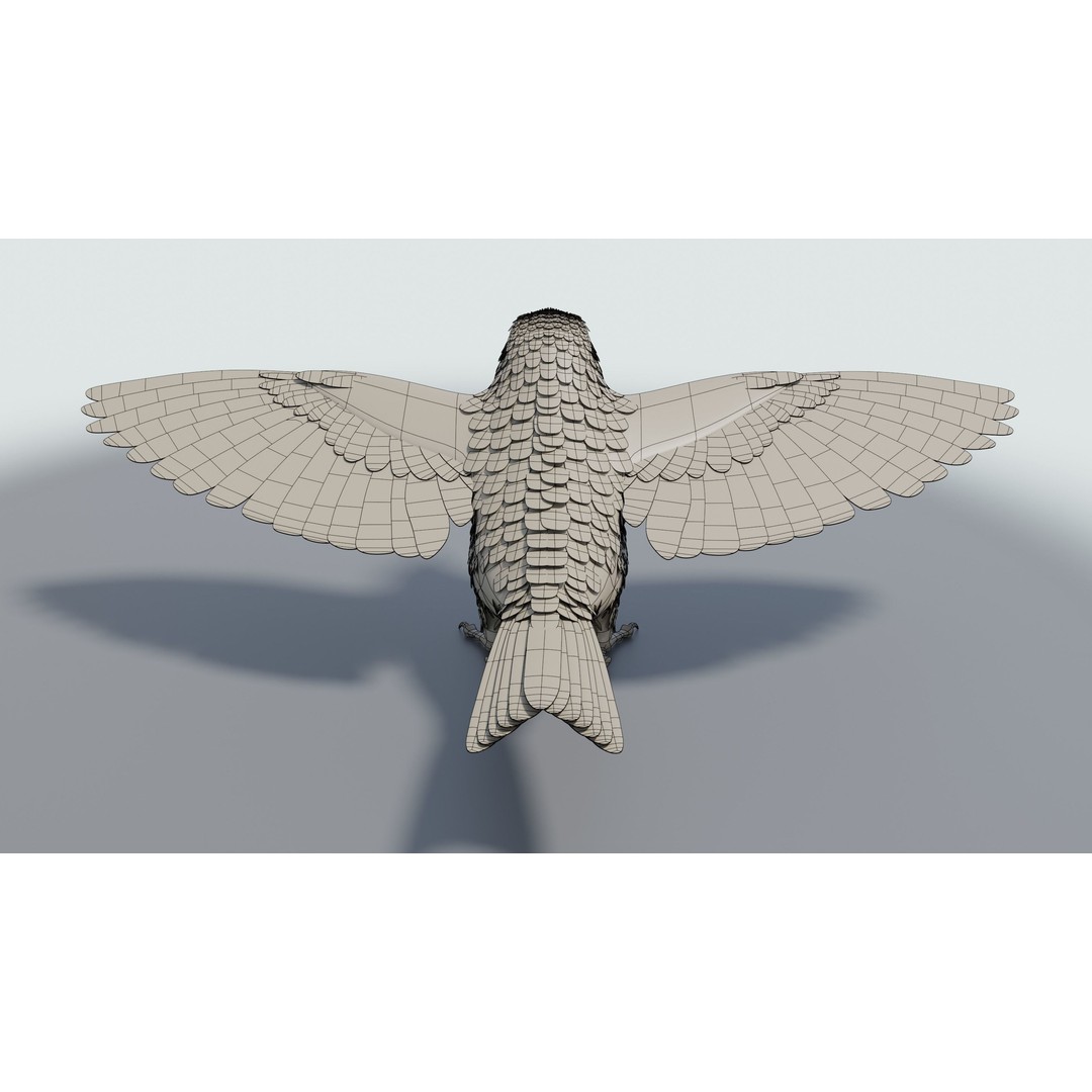 Goldfinch 3D Model – Low Poly Animated Bird, FBX, Blender - View 23