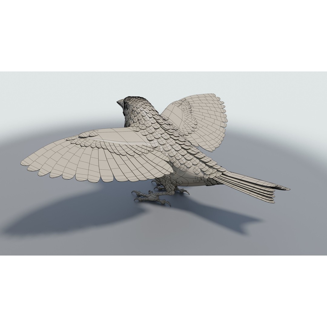 Goldfinch 3D Model – Low Poly Animated Bird, FBX, Blender - View 25