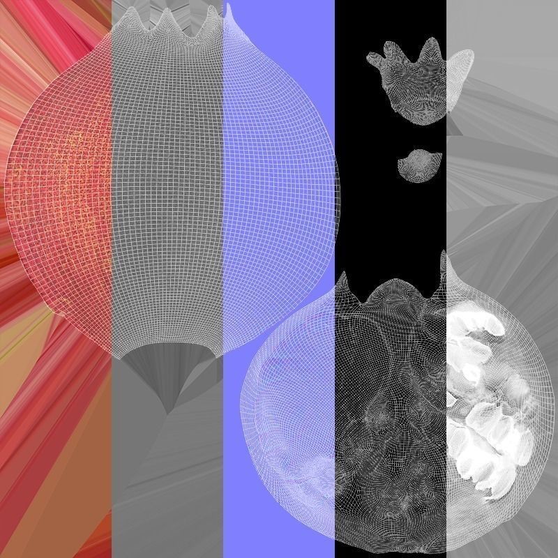 Pomegranate - Low-Poly Game-Ready 3D Model - View 11