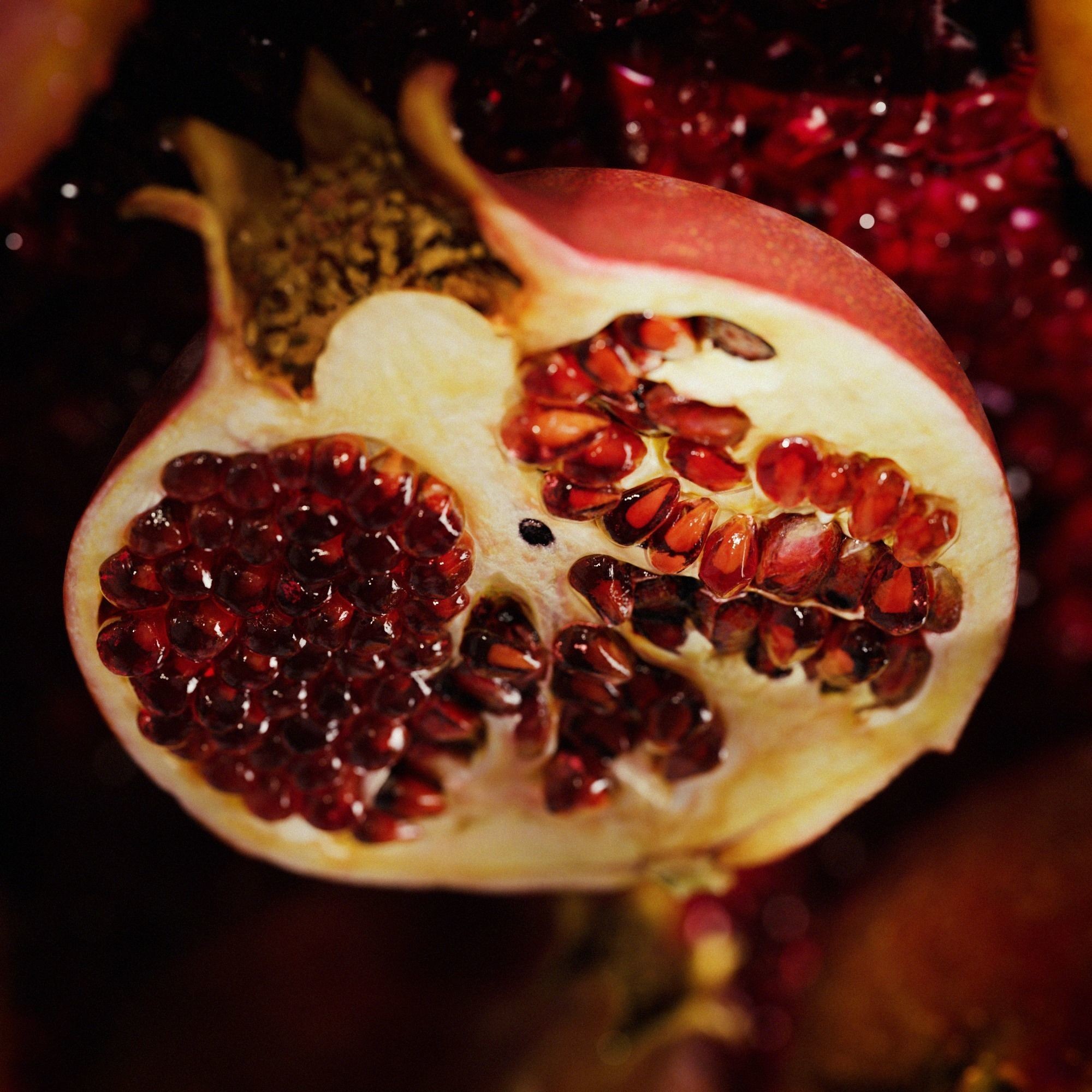 Pomegranate - Low-Poly Game-Ready 3D Model - View 8