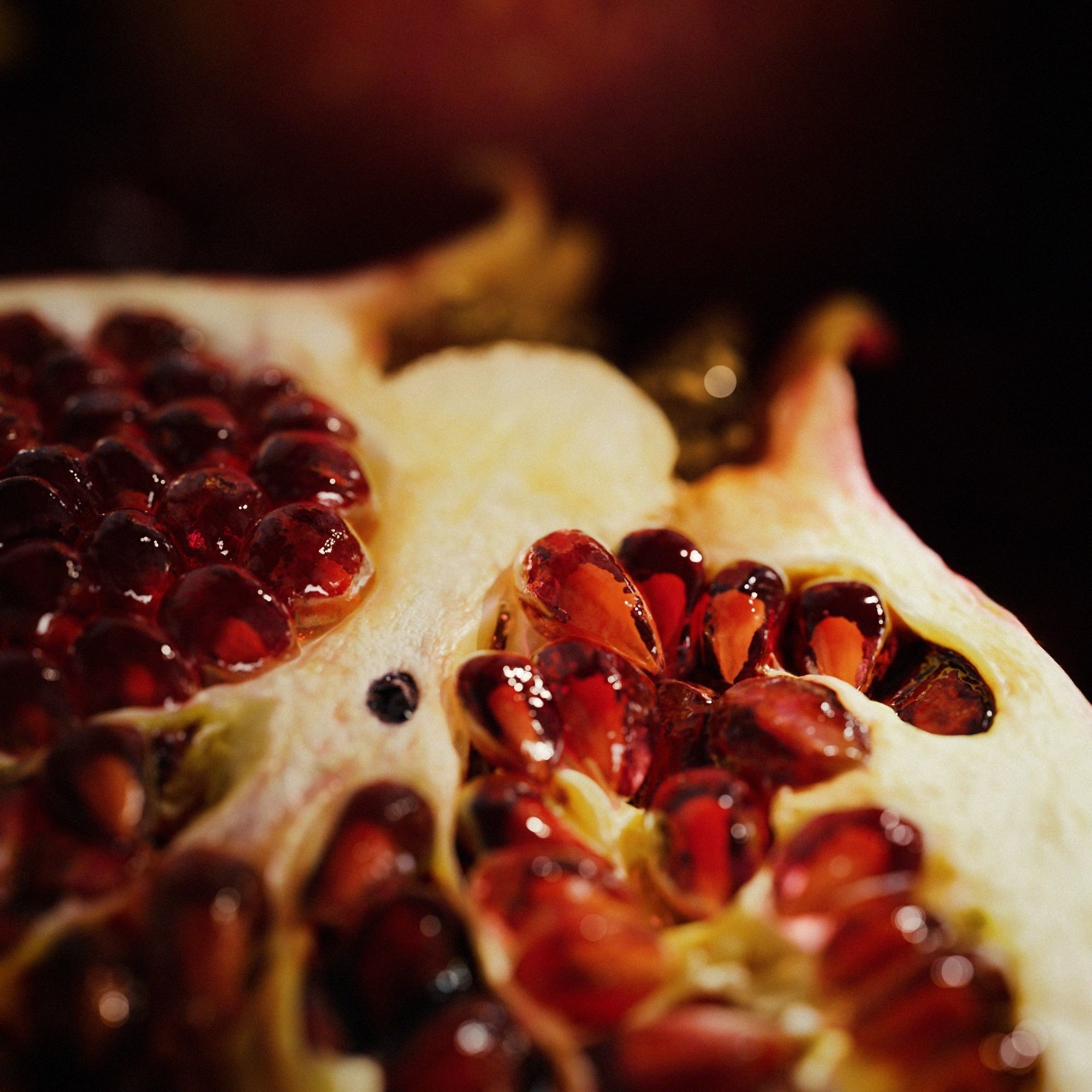 Pomegranate - Low-Poly Game-Ready 3D Model - View 9