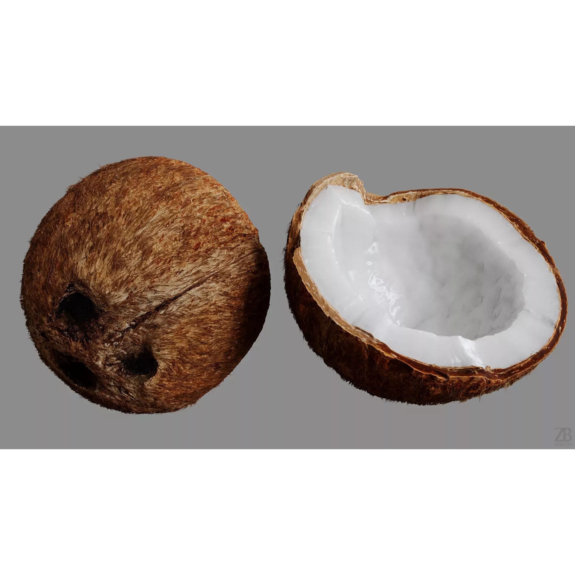 Coconut - Photorealistic 3D Model