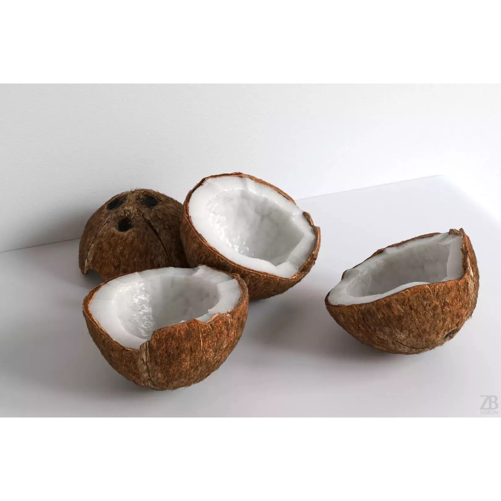 Coconut - Photorealistic 3D Model - View 2