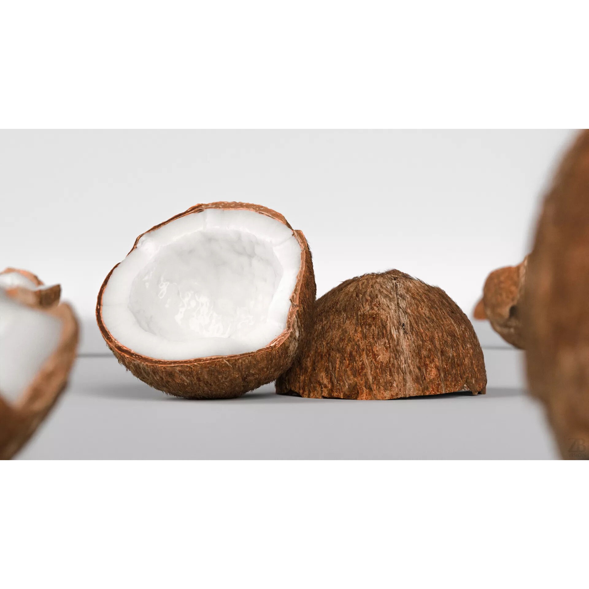 Coconut - Photorealistic 3D Model - View 3