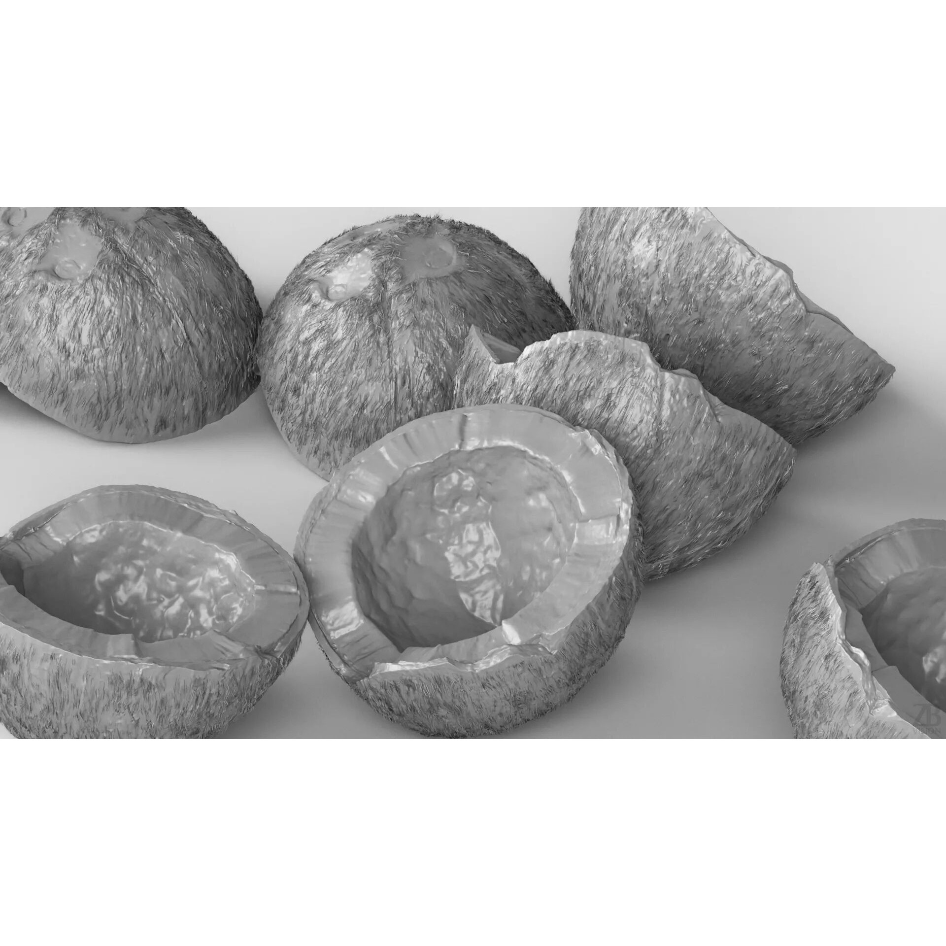 Coconut - Photorealistic 3D Model - View 5