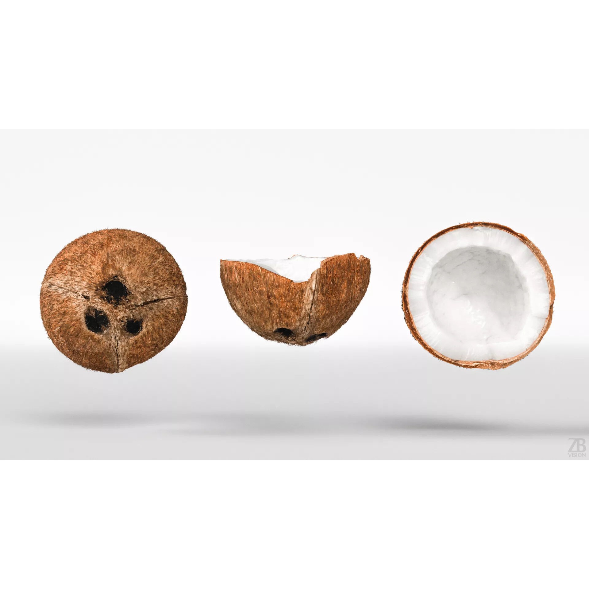Coconut - Photorealistic 3D Model - View 6