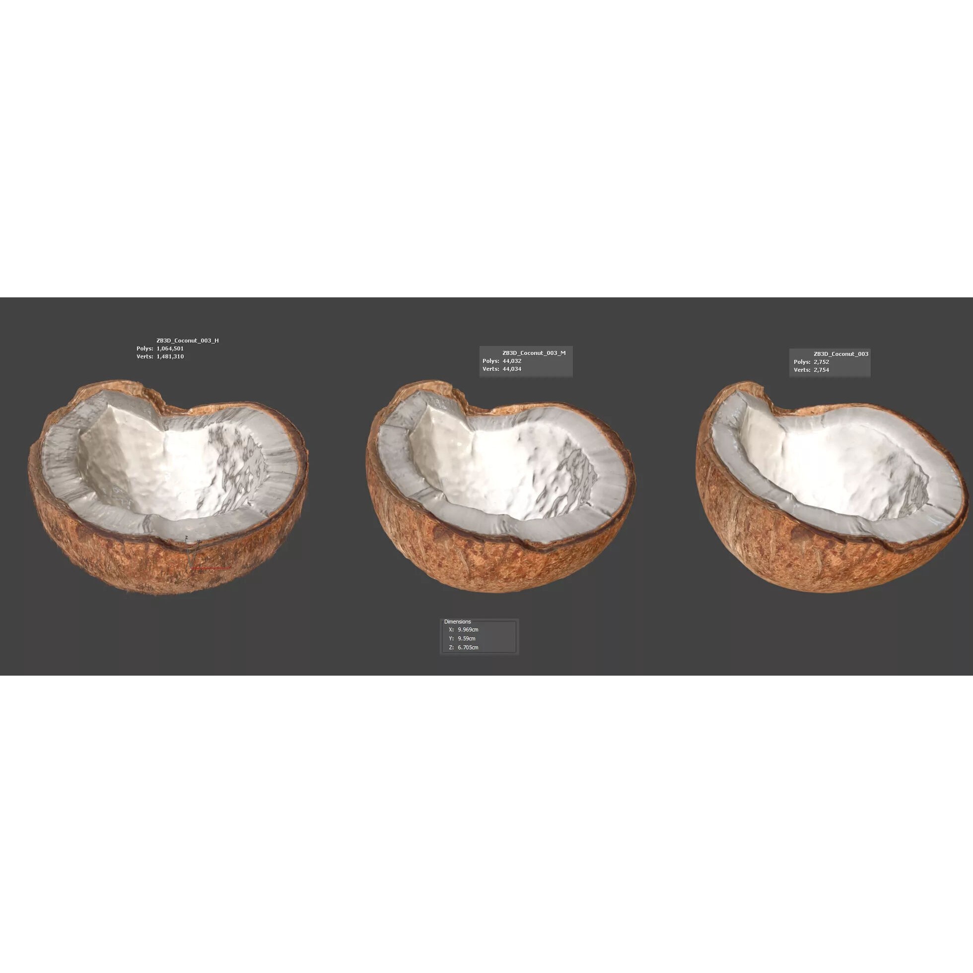 Coconut - Photorealistic 3D Model - View 7