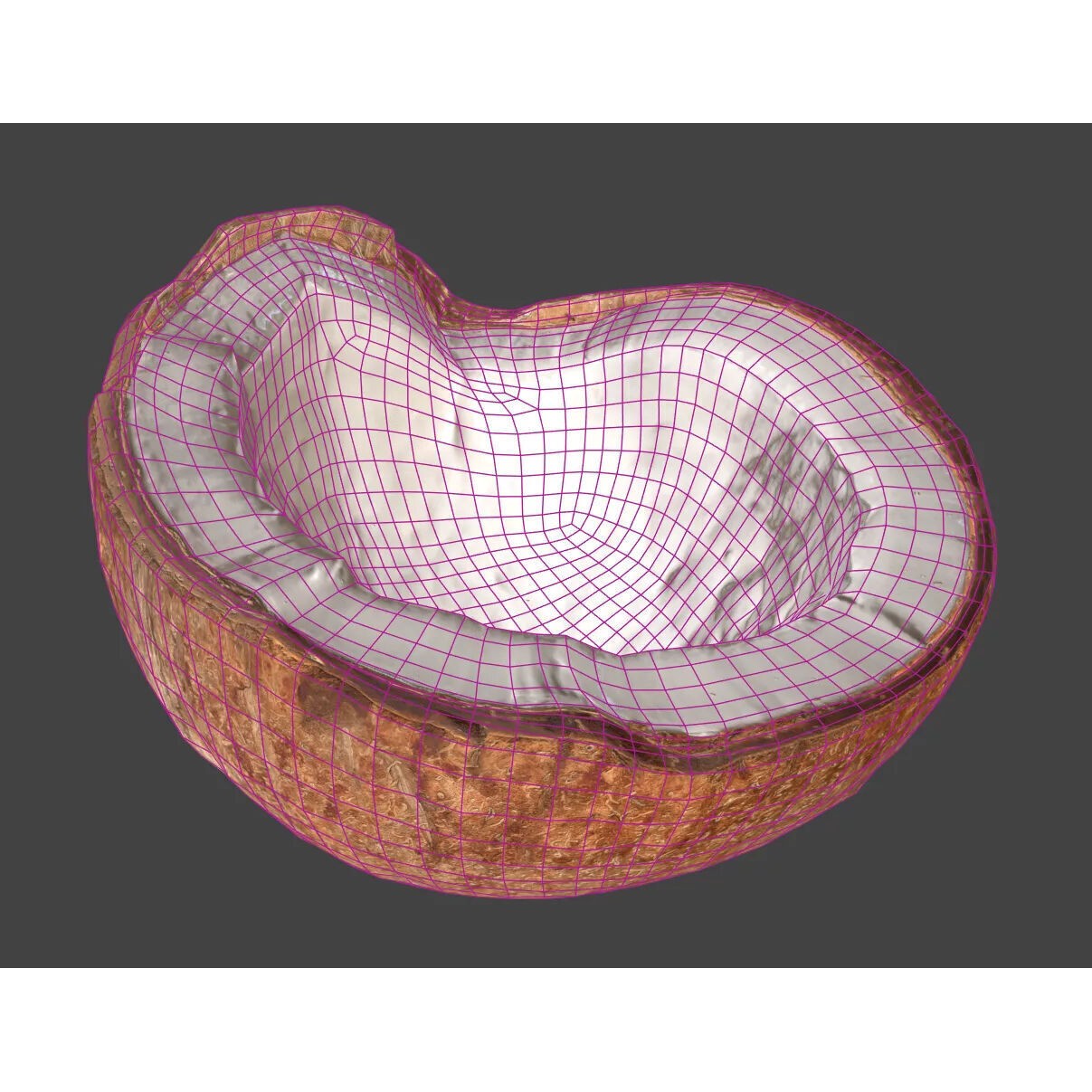 Coconut - Photorealistic 3D Model - View 8