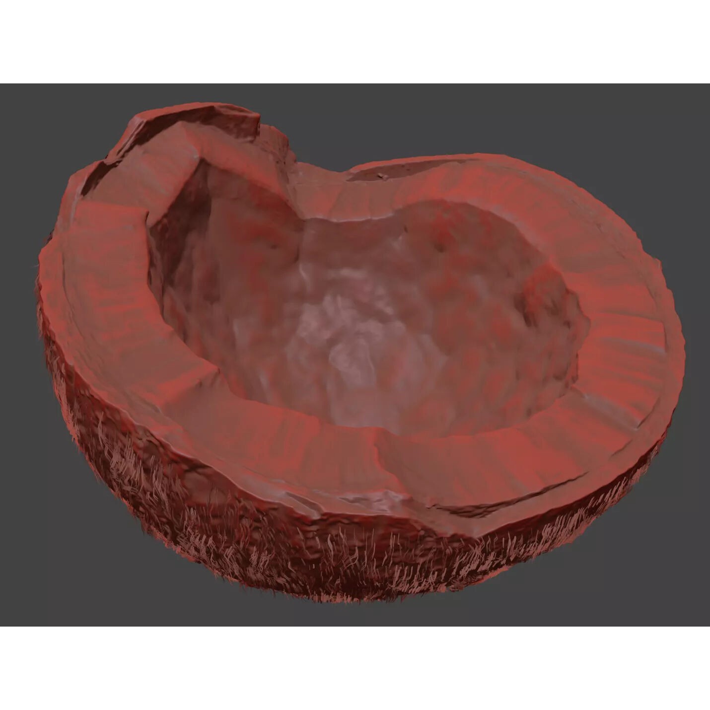 Coconut - Photorealistic 3D Model - View 9