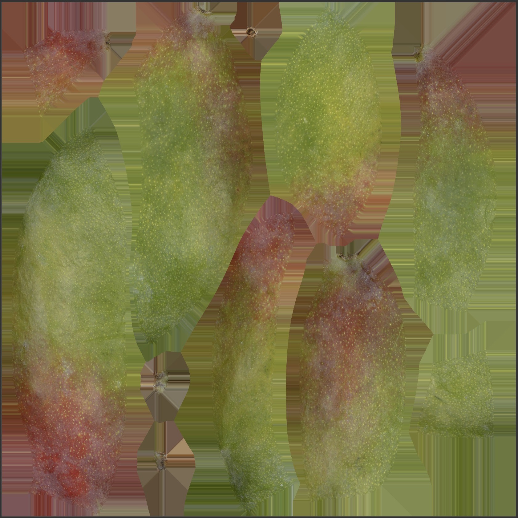 Mango Set 01 - Low-Poly Game-Ready 3D Model