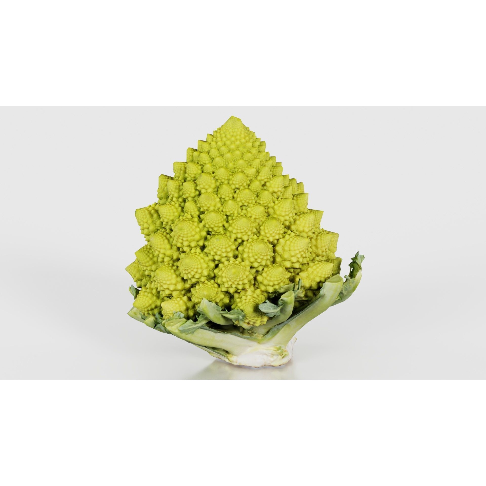 Romanesco - Low-Poly Game-Ready 3D Model