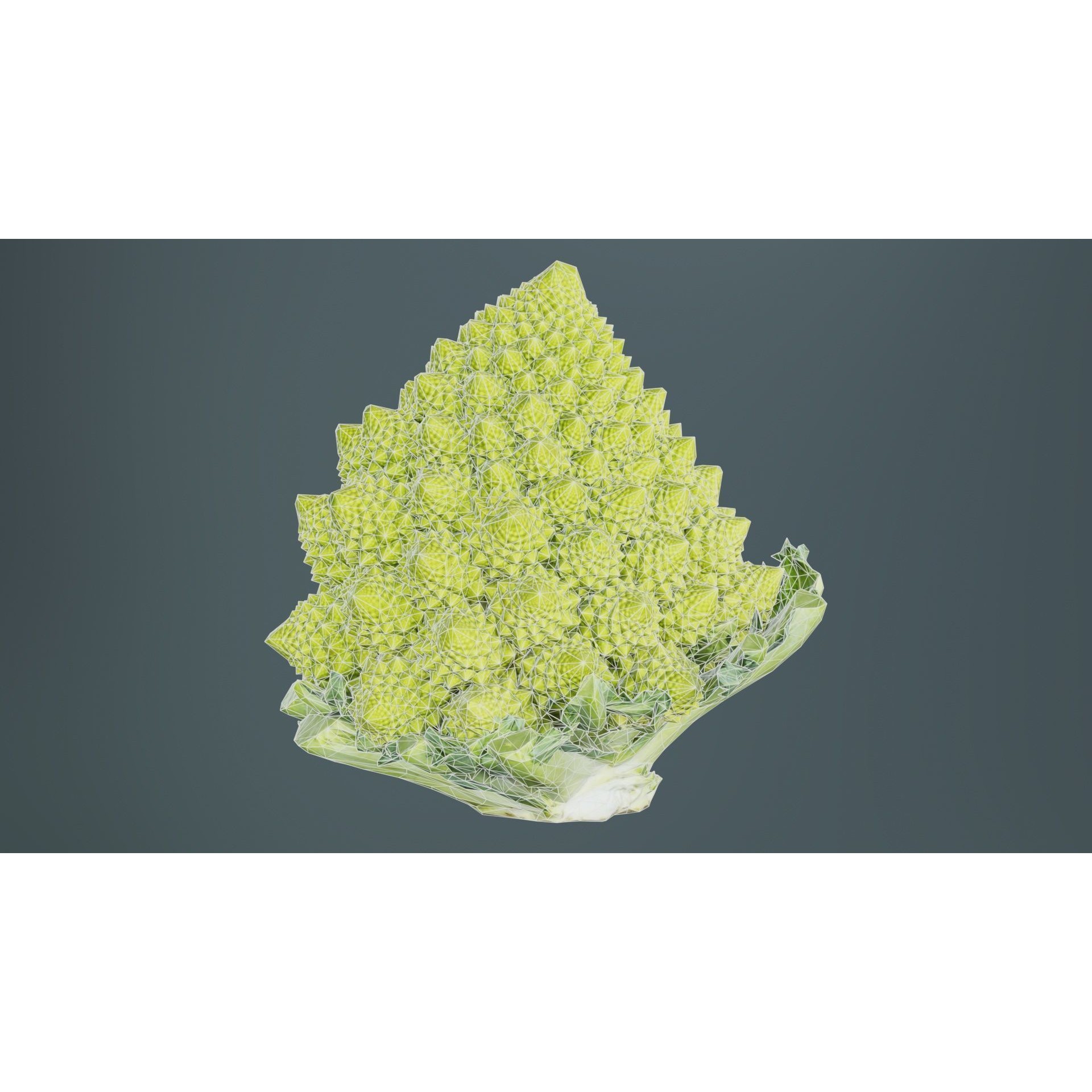 Romanesco - Low-Poly Game-Ready 3D Model - View 11