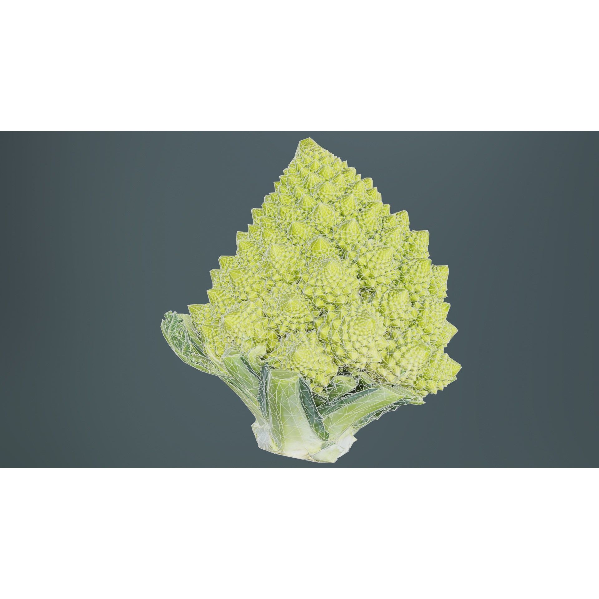 Romanesco - Low-Poly Game-Ready 3D Model - View 12
