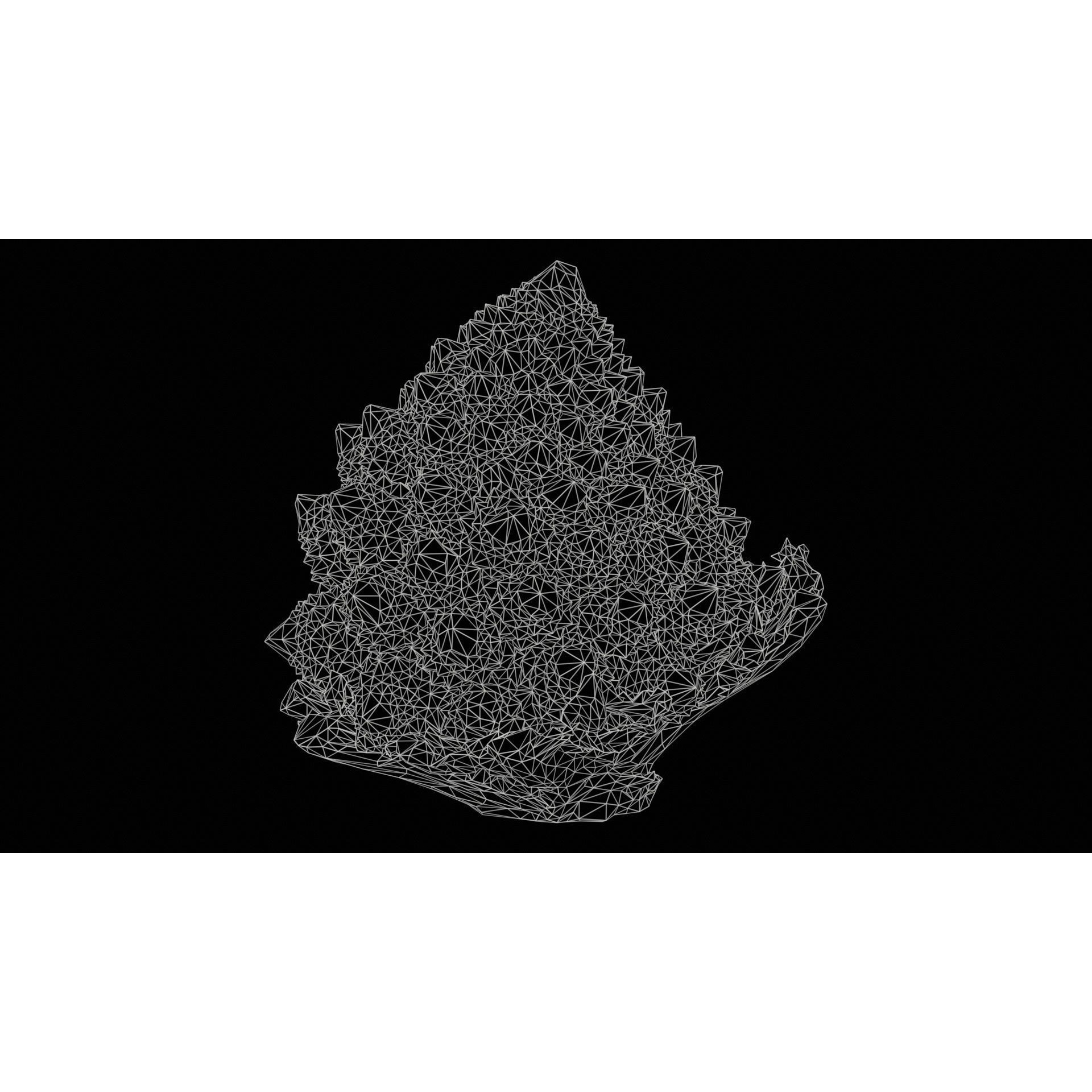 Romanesco - Low-Poly Game-Ready 3D Model - View 13