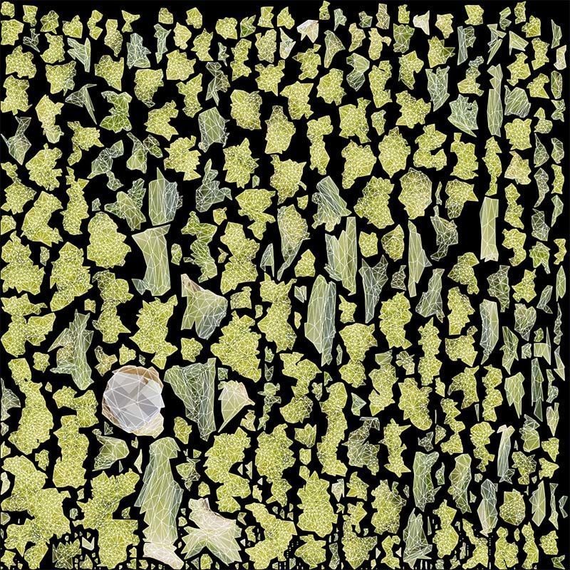 Romanesco - Low-Poly Game-Ready 3D Model - View 16