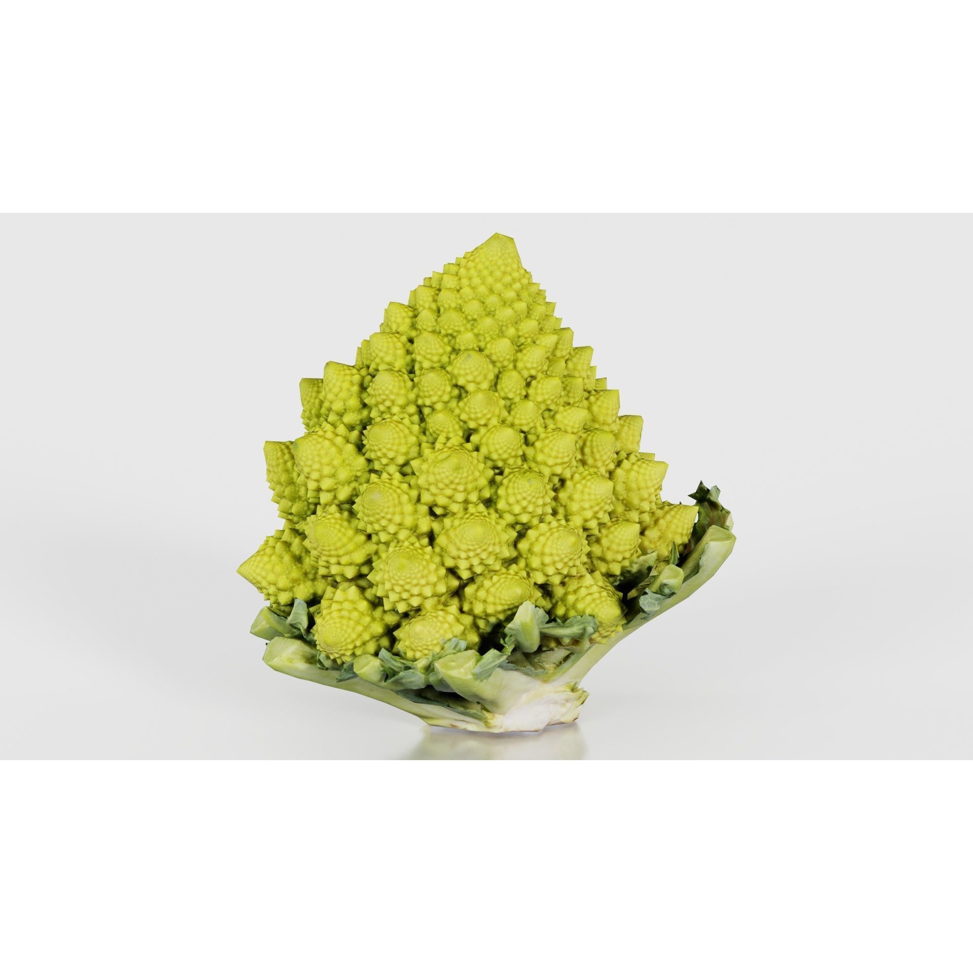 Romanesco - Low-Poly Game-Ready 3D Model - View 17