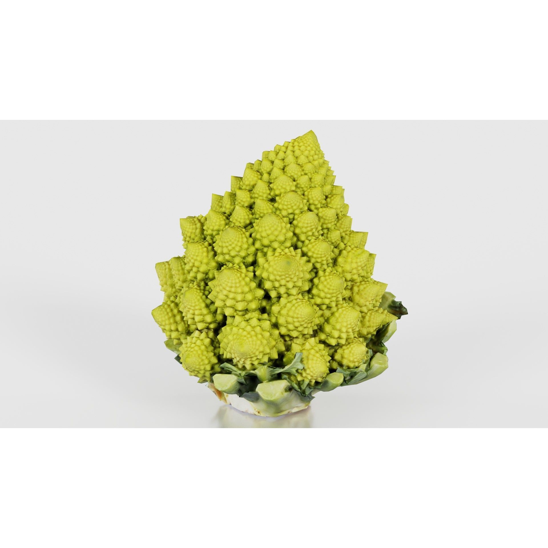Romanesco - Low-Poly Game-Ready 3D Model - View 19