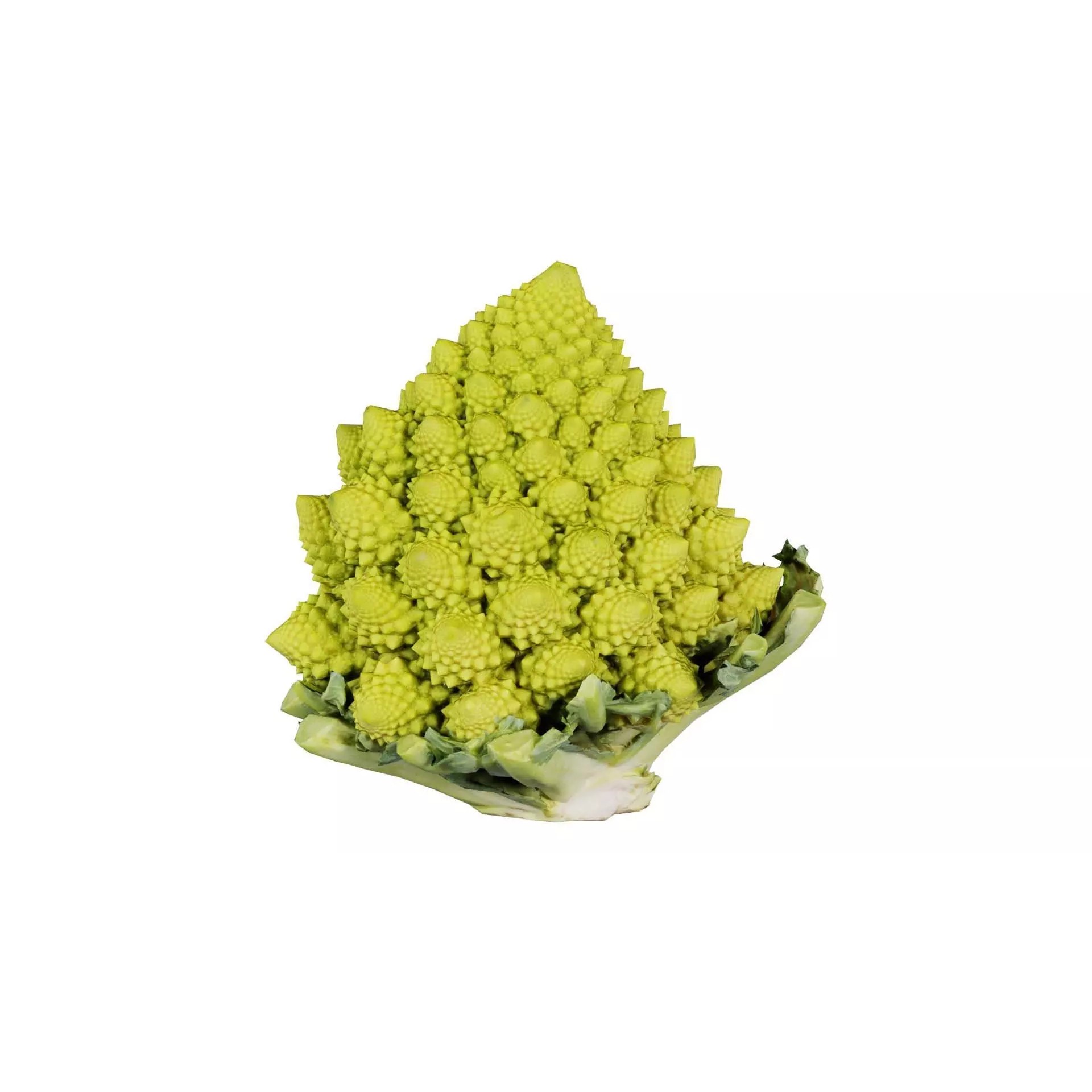 Romanesco - Low-Poly Game-Ready 3D Model - View 2
